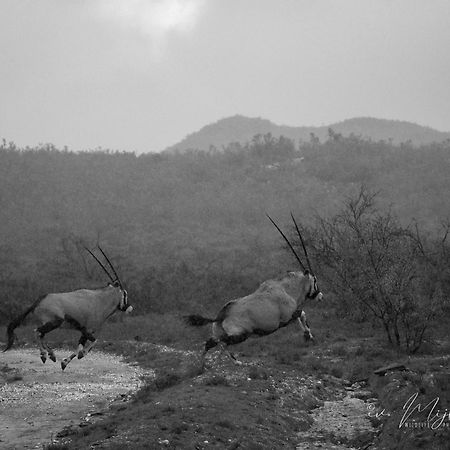 Wildehondekloof Game Lodge Matjiesrivier  Extérieur photo