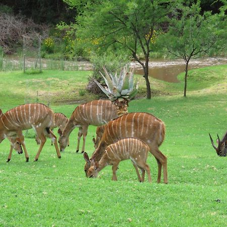 Wildehondekloof Game Lodge Matjiesrivier  Extérieur photo